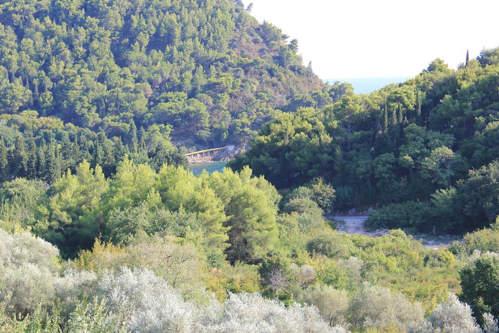 4M Apartments Petrovac na moru Zimmer foto
